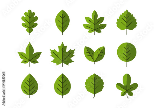 A vibrant flat design illustration vector of various green leaves arranged in rows on a clean white background.