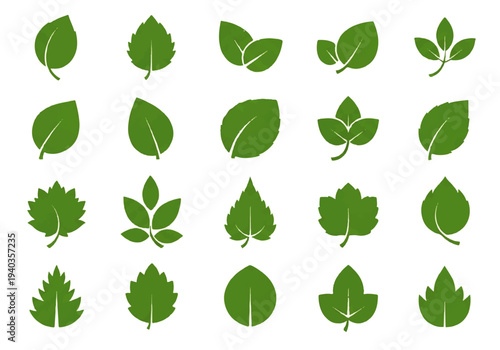A flat design illustration vector of various green leaves arranged in rows on a white background.