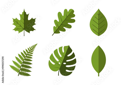 A flat design illustration vector of various green leaves, including maple, oak, and fern, arranged in two rows against a clean white background.