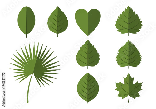 A flat design illustration vector featuring a collection of green leaves in various shapes and sizes on a white background.