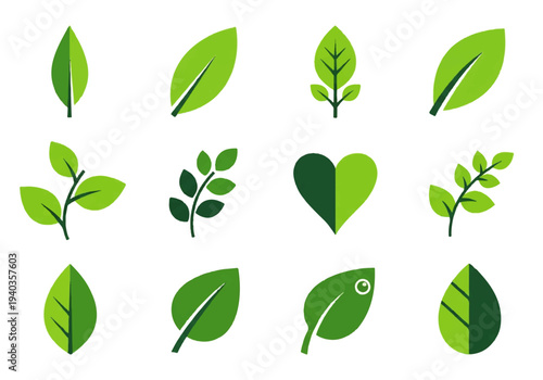 A flat design illustration vector featuring various green leaves and a heart-shaped leaf on a white background.