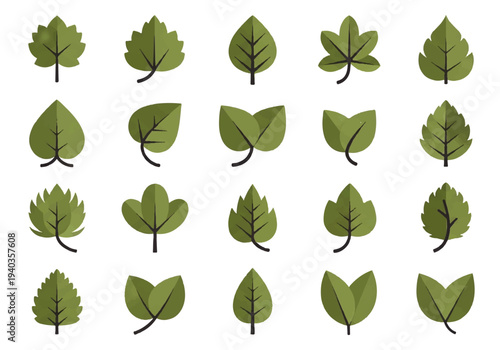A flat design illustration vector of various green leaves arranged in rows on a white background.