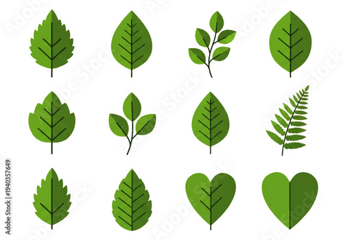 A collection of green leaf illustrations in various shapes and sizes, presented in a flat design style against a white background.