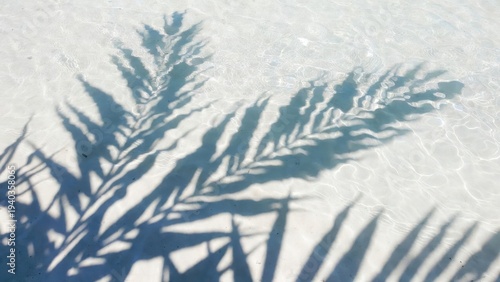 Sunlight makes lovely shadows on water.