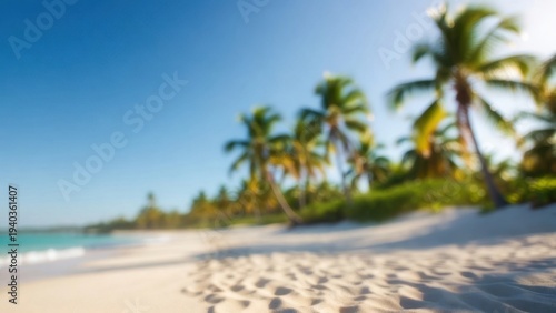 Sunlit beach with soft white sand and swaying palm trees