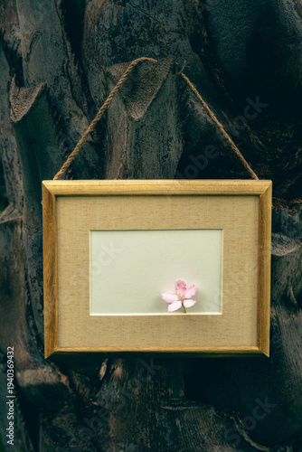 dark tone still life with wooden frame and flower on tree bark