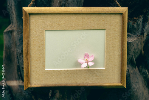 dark tone still life with wooden frame and flower on tree bark