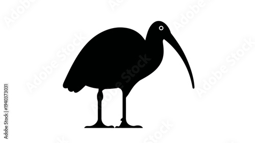 Silhouetted illustration of a bird with a long curved beak and long legs