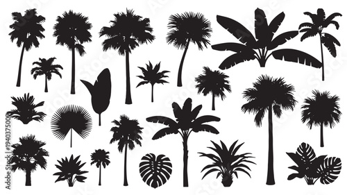Set of 22 palm tree silhouettes vector