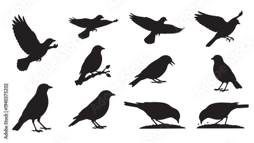 Set of 10 black bird silhouettes vector