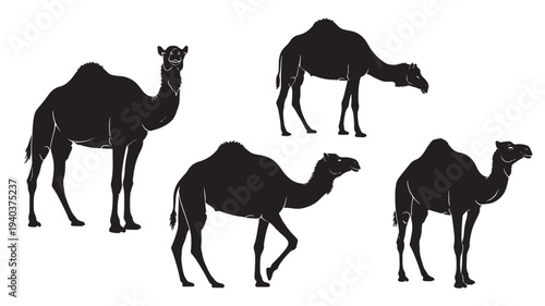 Set of 3 black camel silhouettes vector