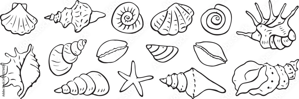 Fototapeta premium Collection of various seashells and starfish illustrations