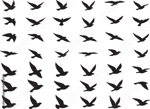Black Bird Flock Flying Swallow Pattern Silhouette
