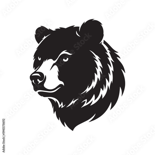 Grizzly Bear Head Illustration on Isolated Background