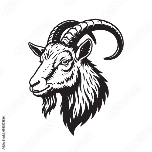 Goat Portrait Illustration on Isolated Background