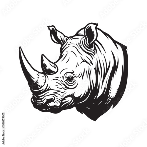 Rhinoceros Portrait Illustration on Isolated Background