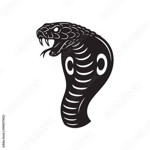 Snake Portrait Illustration on Isolated Background