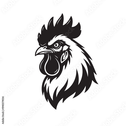 Rooster Portrait Illustration on Isolated Background