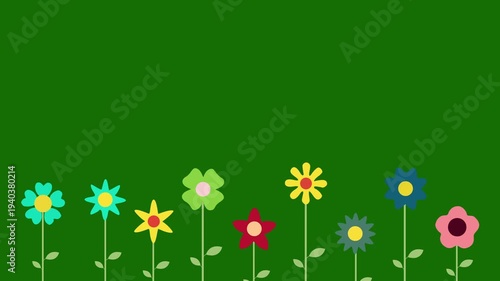 A row of simple, flat design flowers with leaves and stems arranged along the bottom edge against a green screen. Flat flowers animation on chroma key background