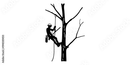 Tree climber in action silhouette of a professional arborist at work