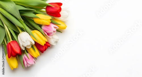 Vibrant tulip bouquet on white background with green stems and leaves