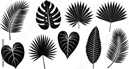 Vector collection of black tropical leaf silhouettes including monstera palm and fern foliage isolated on white background for summer beach and exotic nature design