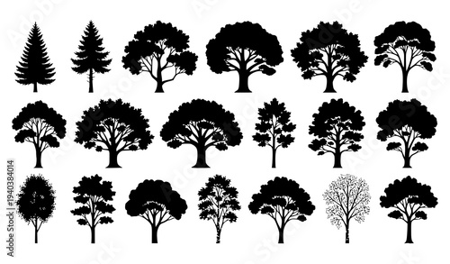 Tree silhouettes vector set with oak pine maple and birch forest collection isolated on white background