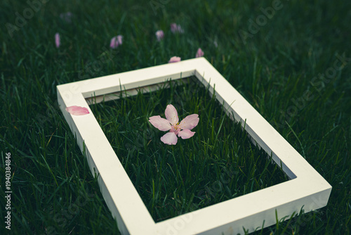 a empty frame with spring flower on the green grass