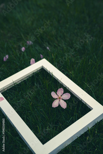 a empty frame with spring flower on the green grass