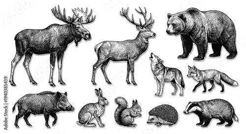 Black silhouette vector collection of wild and farm animals featuring a deer, elephant, bear, and wolf set against a nature wildlife background