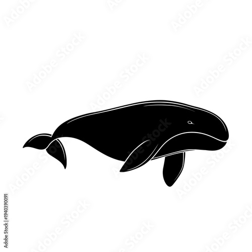 Beluga Whale Marine Wildlife Silhouette Ocean Vector