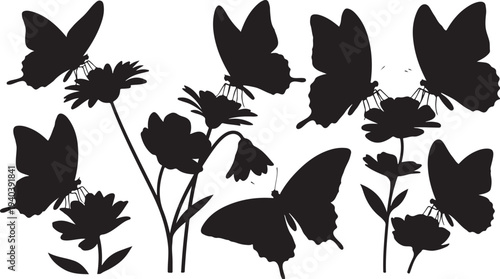 Black butterflies and flowers silhouettes on white background illustration