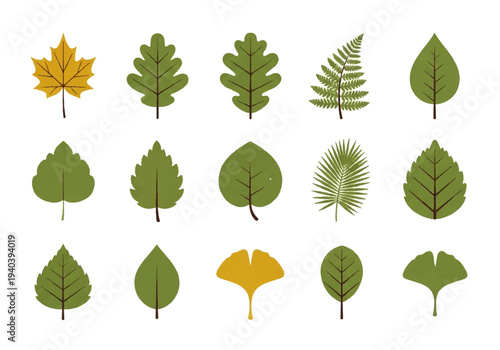 A flat design illustration vector featuring twelve different green leaves with black outlines on a white background.