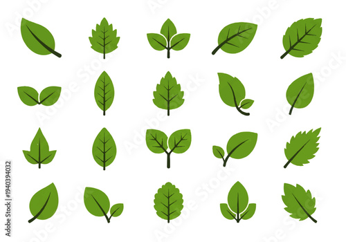 A flat design illustration vector featuring twelve different green leaves with black outlines on a white background.