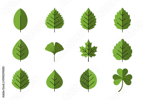 A flat design illustration vector featuring twelve different green leaves with black outlines on a white background.