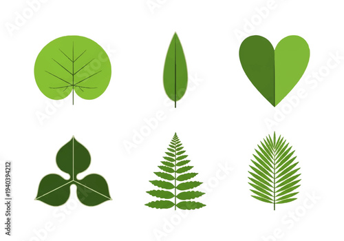 A flat design illustration vector featuring twelve different green leaves with black outlines on a white background.
