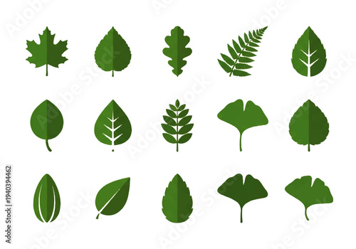 A flat design illustration vector featuring twelve different green leaves with black outlines on a white background.