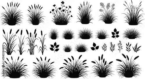 Grass and Cattail Silhouette Set, Wildflower Meadow Plants, Reeds and Bulrush, cad drawing flat vector illustration, Black, White, Isolated, Nature