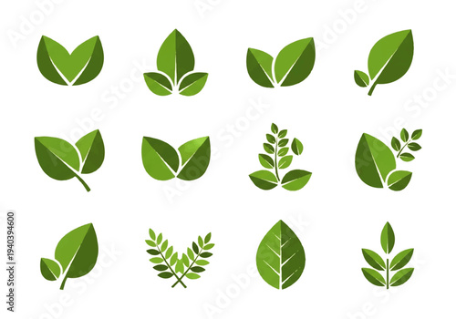 A flat design illustration vector featuring twelve different green leaves with black outlines on a white background.