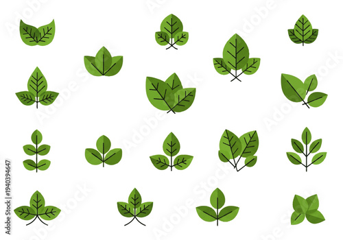 A flat design illustration vector featuring twelve different green leaves with black outlines on a white background.