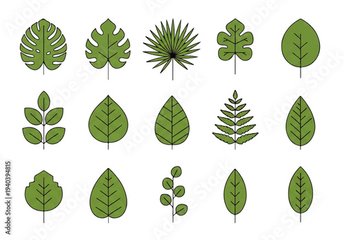 A flat design illustration vector featuring twelve different green leaves with black outlines on a white background.