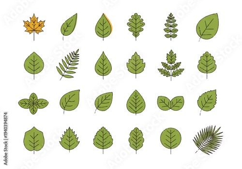 A flat design illustration vector featuring twelve different green leaves with black outlines on a white background.
