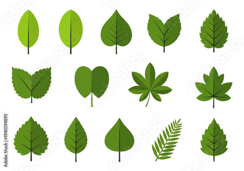 A flat design illustration vector featuring twelve different green leaves with black outlines on a white background.
