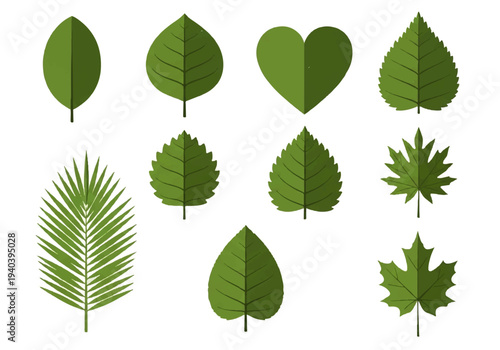 A flat design illustration vector featuring twelve different green leaves with black outlines on a white background.