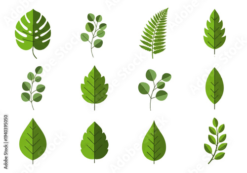 A flat design illustration vector featuring twelve different green leaves with black outlines on a white background.