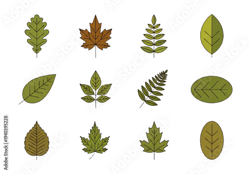 A flat design illustration vector featuring twelve different green leaves with black outlines on a white background.