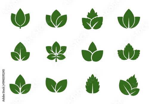 A flat design illustration vector featuring twelve different green leaves with black outlines on a white background.
