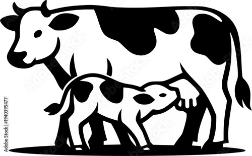 black and white cow feeding a milk vector design 