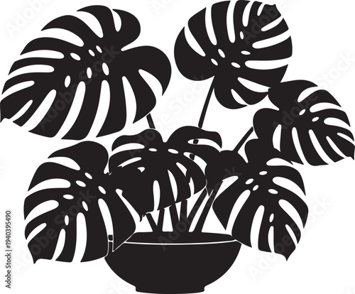 Monstera Deliciosa Plant Vector Illustration in Black Silhouette, Perfect for Modern Home Decor, Tropical Design, or Botanical Graphics