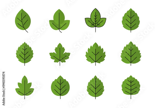 A flat design illustration vector featuring twelve different green leaves with black outlines on a white background.